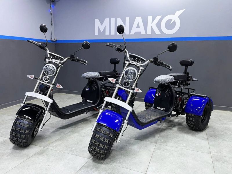 Электромотоцикл трехколесный Minako REX-T 3000W Электромотоцикл трехколесный Minako REX-T 3000W