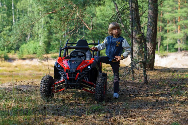 Багги SCANMOTO Cobra Багги SCANMOTO Cobra