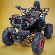 Электроквадроцикл GBike Ataman F20 2000w