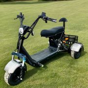 Электротрицикл Gbike TRIKE MINI R 1500W